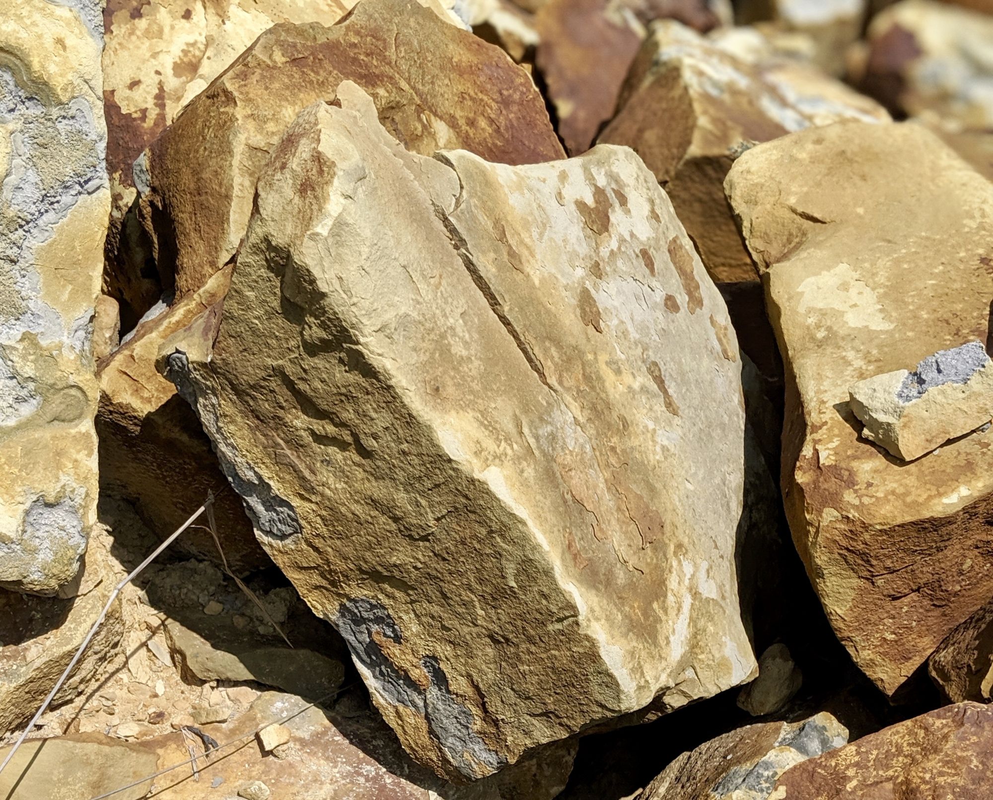 Landscaping Boulders Boulders for Sale in Cleveland